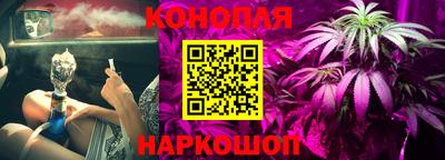 прущие крисы Брянск