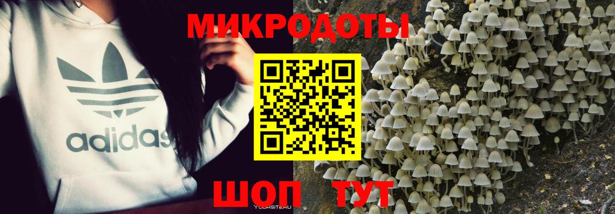 Псилоцибиновые грибы мухоморы  Вход с VPN  Амурск 